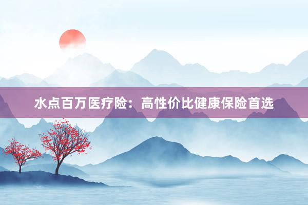 水点百万医疗险：高性价比健康保险首选